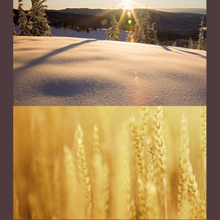 JUNESTAR 4 in 1 Proffesional 40.5mm Lens Filter(CPL + UV) & Waterproof Housing Case Adapter Ring & Lens Protective Cap for GoPro HERO4 / 3+ / 3 Sport Action Camera by JSR