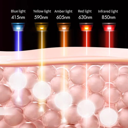 EDA0080458_B3.jpg@09e38b51e56563262339c2205a444117